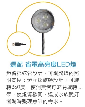 LED 燈